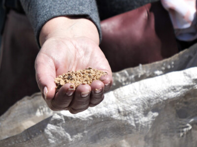 Proveden projekt INNOVAOLIVA