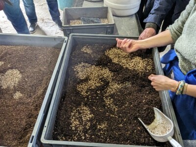 Proveden projekt INNOVAOLIVA