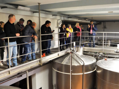 Proveden projekt INNOVAOLIVA