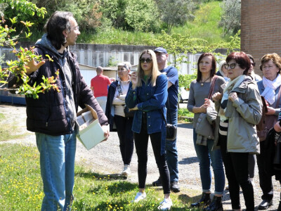 Proveden projekt INNOVAOLIVA