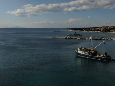 Proveli smo noć u ribolovu male plave ribe