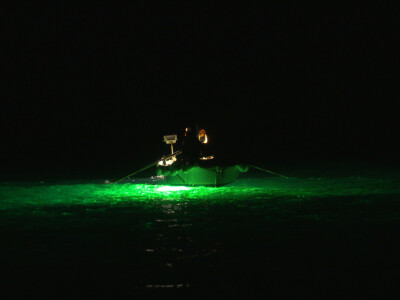 Proveli smo noć u ribolovu male plave ribe