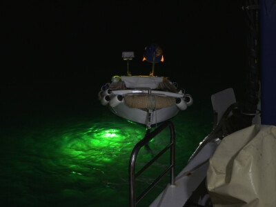 Proveli smo noć u ribolovu male plave ribe