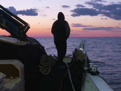 Proveli smo noć u ribolovu male plave ribe