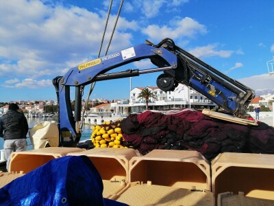 Proveli smo noć u ribolovu male plave ribe