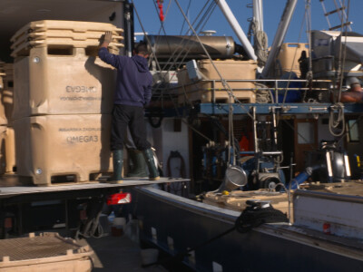 Proveli smo noć u ribolovu male plave ribe