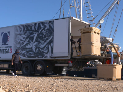 Proveli smo noć u ribolovu male plave ribe