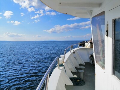 Proveli smo noć u ribolovu male plave ribe