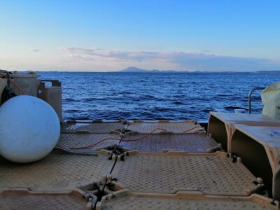 Proveli smo noć u ribolovu male plave ribe