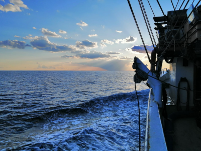 Proveli smo noć u ribolovu male plave ribe