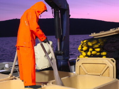 Proveli smo noć u ribolovu male plave ribe