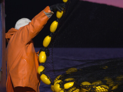 Proveli smo noć u ribolovu male plave ribe