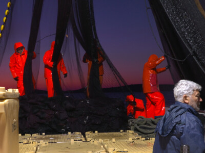 Proveli smo noć u ribolovu male plave ribe