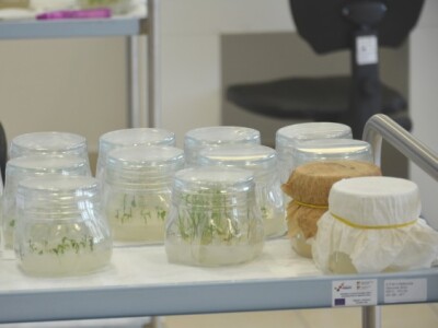 Detalj iz laboratorija