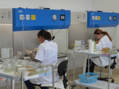 Laboratorij Regionalnog centra za biotehnološka istraživanja i razvoj