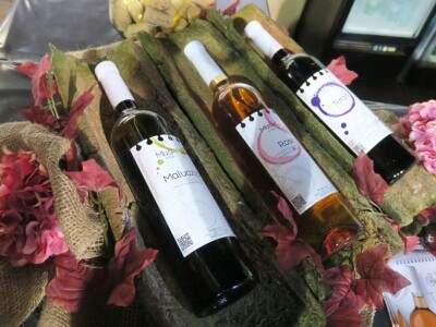 Pršutana Antolović apsolutni pobjednik na 16. Internacionalnom Sajmu pršuta u Tinjanu