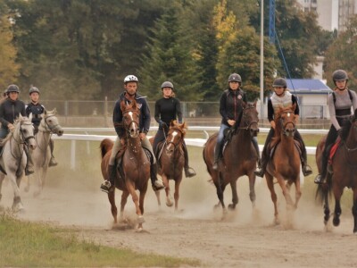 Prva Endurance utrka konja na zagrebačkom Hipodromu