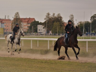 Prva Endurance utrka konja na zagrebačkom Hipodromu