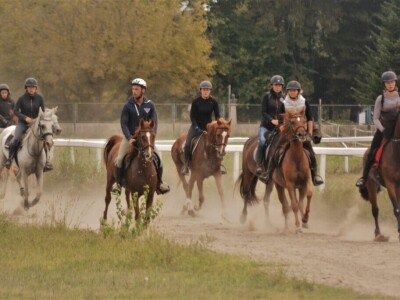 Prva Endurance utrka konja na zagrebačkom Hipodromu