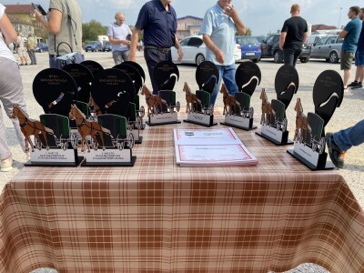 Prva "Fijakerijada" u Prnjavoru