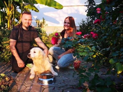 Prva hrvatska hrana za pse