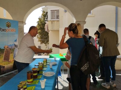Prva specijalizirana konferencija na temu propolisa i zdravlja