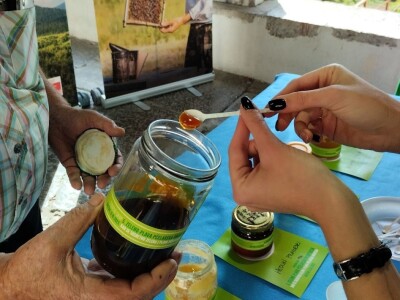 Prva specijalizirana konferencija na temu propolisa i zdravlja