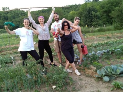 Prva urbana bašta u BiH: Kako su građani od zapuštenog gradskog zemljišta napravili vrt prepun povrća uzgojenog na bio način