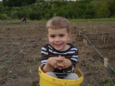 Prva urbana bašta u BiH: Kako su građani od zapuštenog gradskog zemljišta napravili vrt prepun povrća uzgojenog na bio način