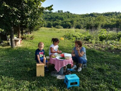 Prva urbana bašta u BiH: Kako su građani od zapuštenog gradskog zemljišta napravili vrt prepun povrća uzgojenog na bio način