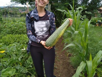 Prva urbana bašta u BiH: Kako su građani od zapuštenog gradskog zemljišta napravili vrt prepun povrća uzgojenog na bio način