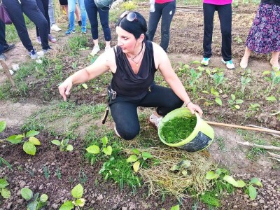 Prva urbana bašta u BiH: Kako su građani od zapuštenog gradskog zemljišta napravili vrt prepun povrća uzgojenog na bio način