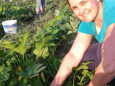 Prva urbana bašta u BiH: Kako su građani od zapuštenog gradskog zemljišta napravili vrt prepun povrća uzgojenog na bio način