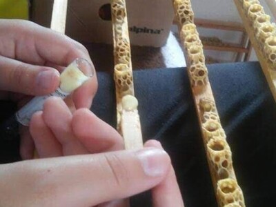 Prvi Api- Inhal centar u Srednjoj Bosni Prvi Api- Inhal centar u Srednjoj Bosni