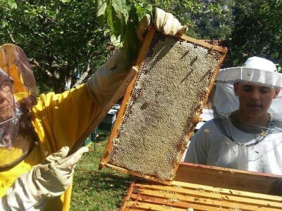 Prvi Api- Inhal centar u Srednjoj Bosni Prvi Api- Inhal centar u Srednjoj Bosni