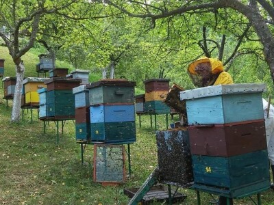 Prvi Api- Inhal centar u Srednjoj Bosni Prvi Api- Inhal centar u Srednjoj Bosni