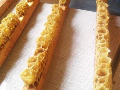 Prvi Api- Inhal centar u Srednjoj Bosni Prvi Api- Inhal centar u Srednjoj Bosni