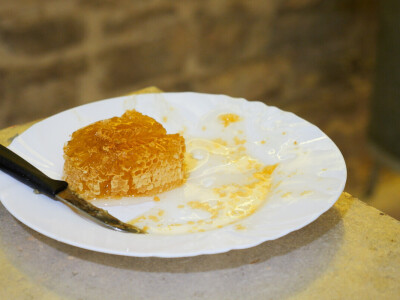 Prvi BeeWell Fest na Šolti – Proslava 150 godina organiziranog pčelarstva