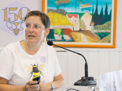 Prvi BeeWell Fest na Šolti – Proslava 150 godina organiziranog pčelarstva