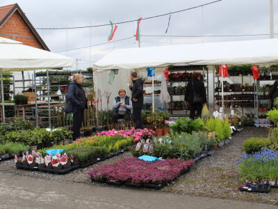 Prvi dan 23. Proljetnog međunarodnog bjelovarskog sajma