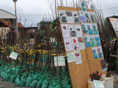 Prvi dan 23. Proljetnog međunarodnog bjelovarskog sajma