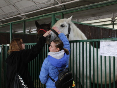 Prvi dan 23. Proljetnog međunarodnog bjelovarskog sajma