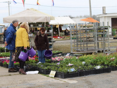 Prvi dan 23. Proljetnog međunarodnog bjelovarskog sajma