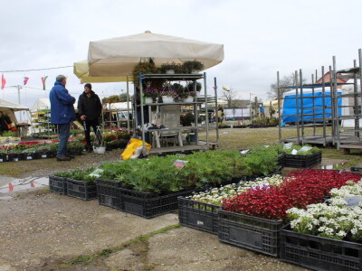 Prvi dan 23. Proljetnog međunarodnog bjelovarskog sajma