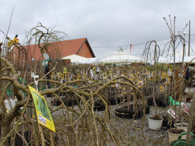 Prvi dan 23. Proljetnog međunarodnog bjelovarskog sajma