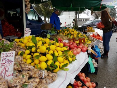 Prvi dan 23. sajma Viroexpo 2018