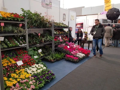 Prvi dan 23. sajma Viroexpo 2018