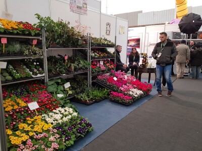 Prvi dan 23. sajma Viroexpo 2018