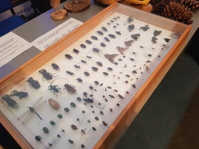 Prvi dan 23. sajma Viroexpo 2018