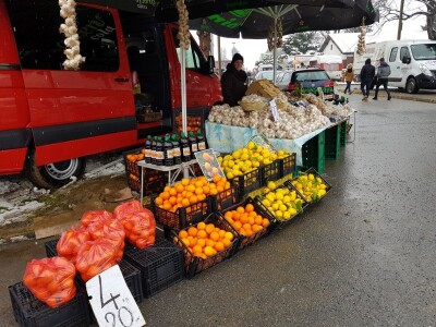 Prvi dan 23. sajma Viroexpo 2018